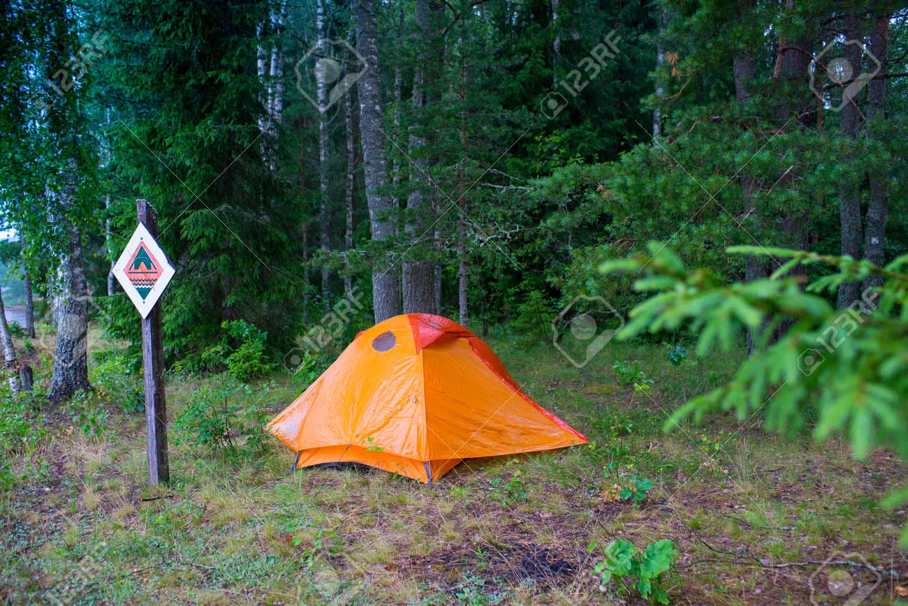 Forest Tent